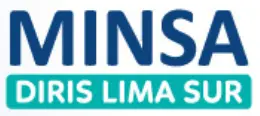 Estadistica.diris.lima.sur
